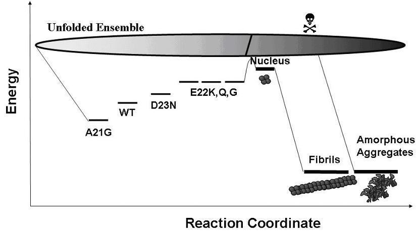 RUBY-1